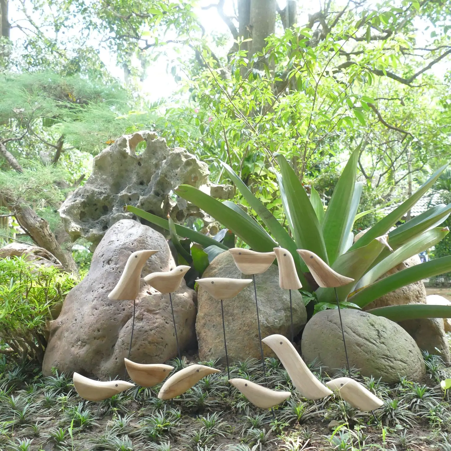  Product image 1 of the product “Set of 12 wooden birds in a box, 6 with feet and 6 with metal stick 3mm ”